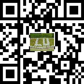 QR Code for quick access